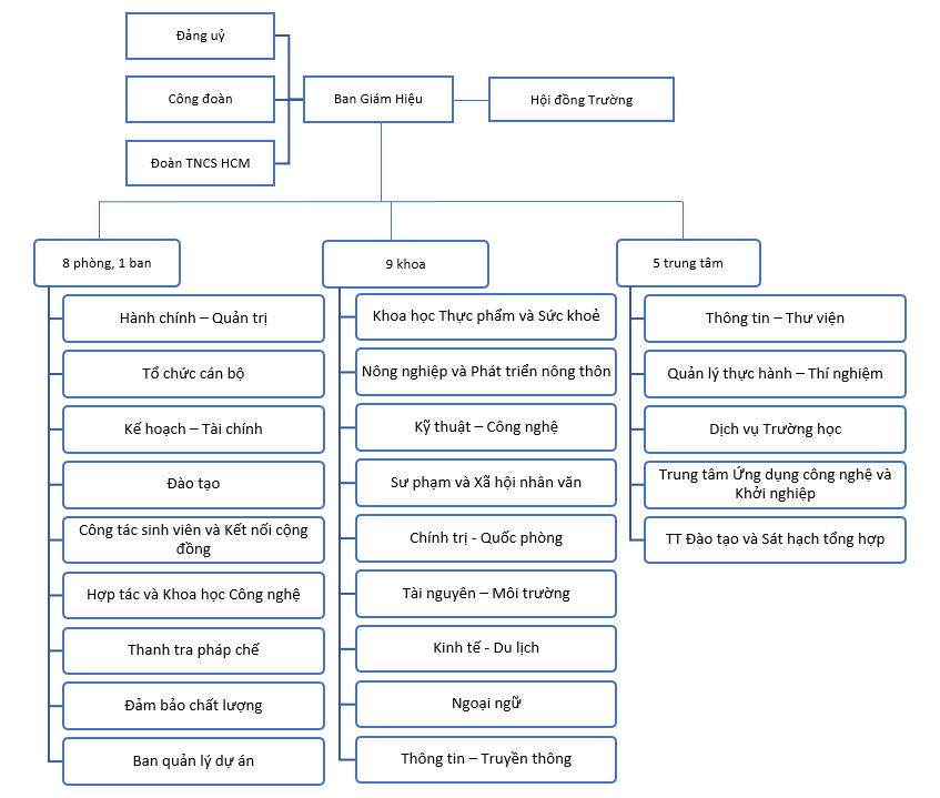 VII. Sơ đồ bộ máy tổ chức