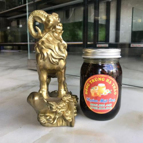 Uống Đông Trùng Hạ Thảo Ngâm Mật Ong Thường Xuyên Có Tốt Không?