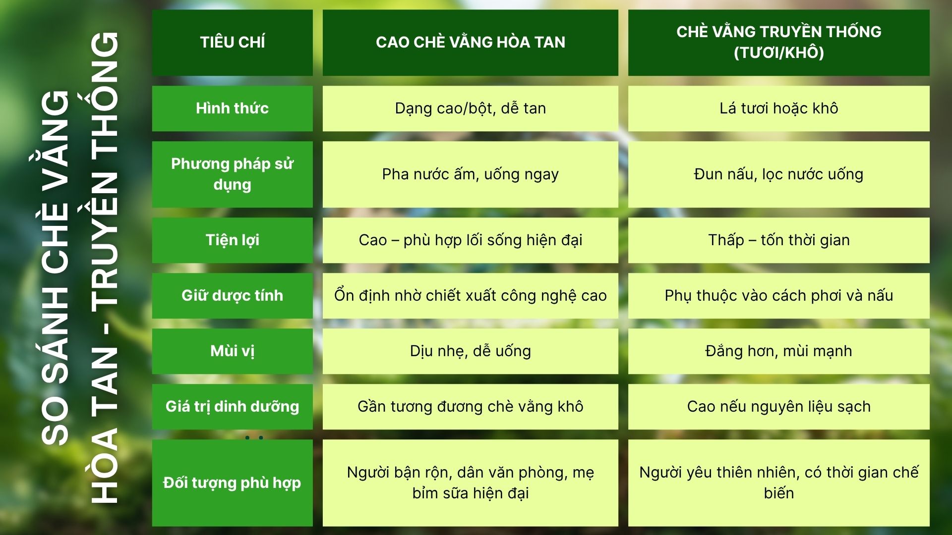 So Sánh Chi Tiết – Cao Chè Vằng Hòa Tan và Chè Vằng Truyền Thống
