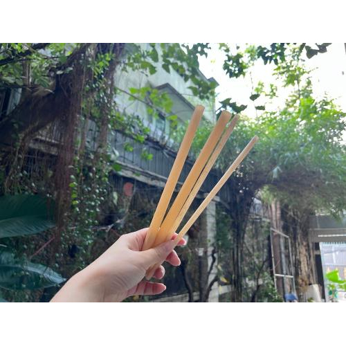 Giới thiệu Ống Hút Tự Hủy Sinh Học Từ Bột Mì