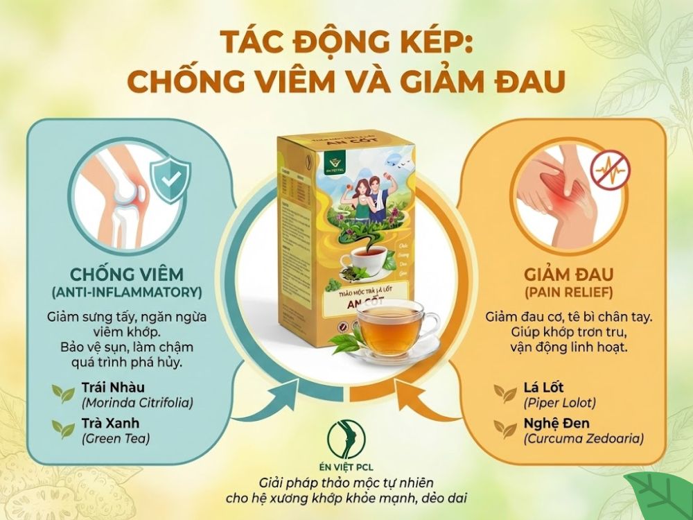 Tác động kép: Chống viêm và Giảm đau