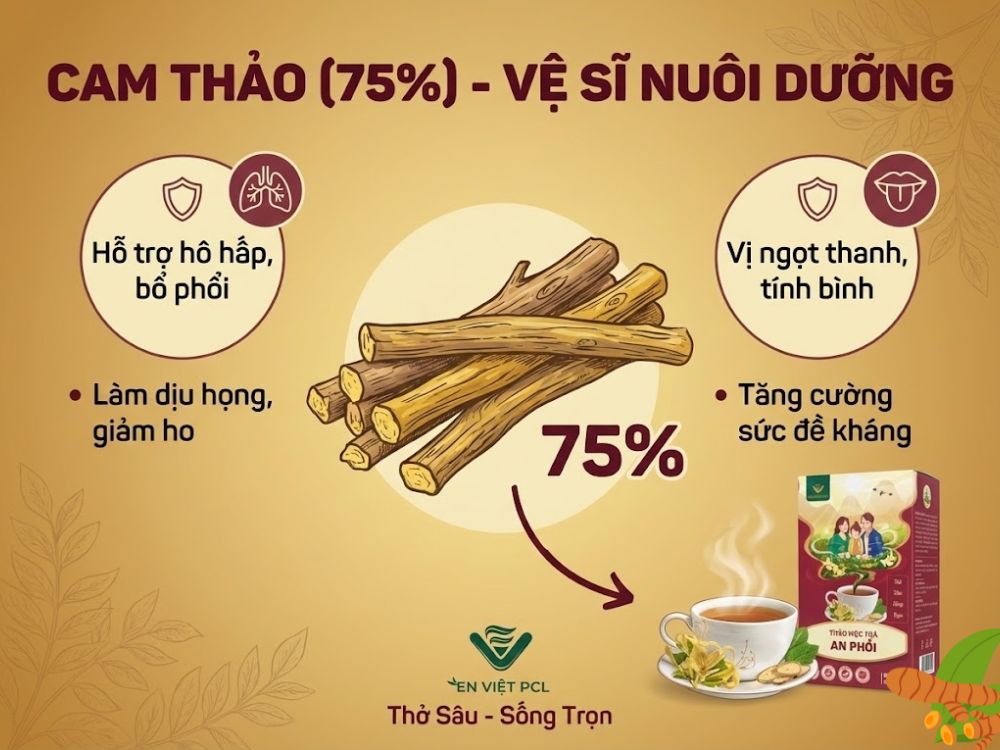 Cam Thảo (75%) - Vệ sĩ nuôi dưỡng