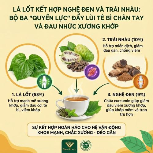Lá Lốt Kết Hợp Nghệ Đen Và Trái Nhàu: Bộ Ba