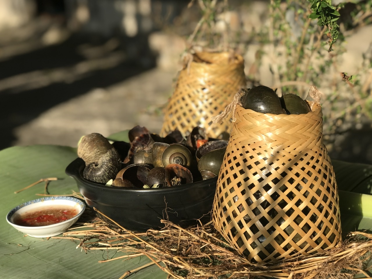 Cách bảo quản