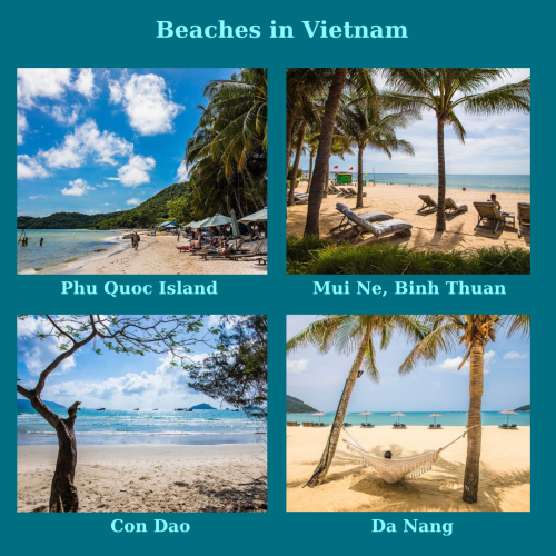 Beach and Leisure tourism in Viet Nam