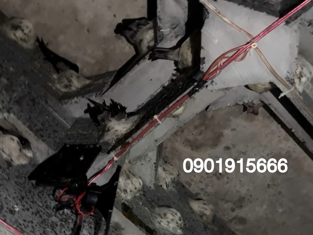 Thành phần và xuất xứ