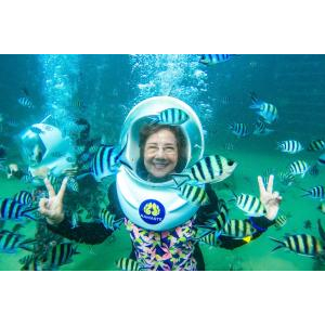 Đi Bộ Dưới Biển Tại Công Viên San Hô Namaste