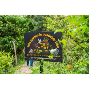 (TOUR RIÊNG) Chèo Thuyền Thúng Sông Cửa Cạn + Tham Quan Trang Trại Mật Ong