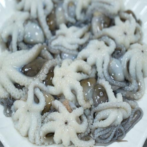 Ruốc Quảng Ninh - Đặc Sản Chua Cay Độc Đáo: Khám Phá Bạch Tuộc Mini