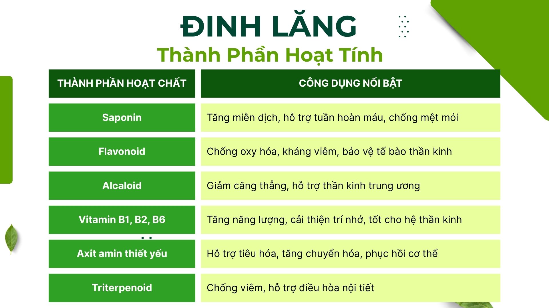 Thành phần dinh dưỡng và dược chất trong cao đinh lăng hòa tan