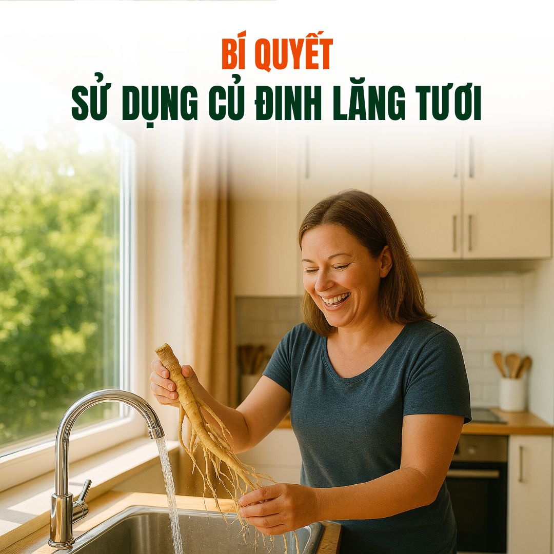 Bí Quyết Sử Dụng Củ Đinh Lăng Tươi: Nhân Sâm Cho Sức Khỏe Vàng