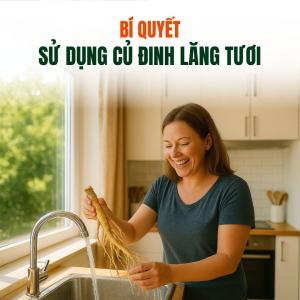 Bí Quyết Sử Dụng Củ Đinh Lăng Tươi: Nhân Sâm Cho Sức Khỏe Vàng