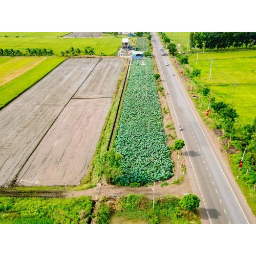 2. Quy trình đo đạc bằng flycam