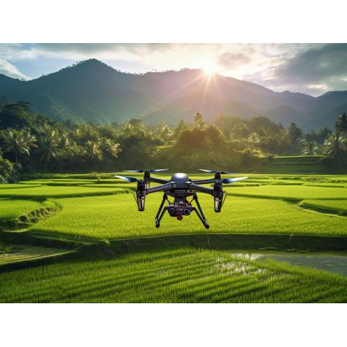 4. Cam kết chất lượng và dịch vụ