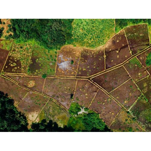 1. Tầm quan trọng của đo đạc thực địa