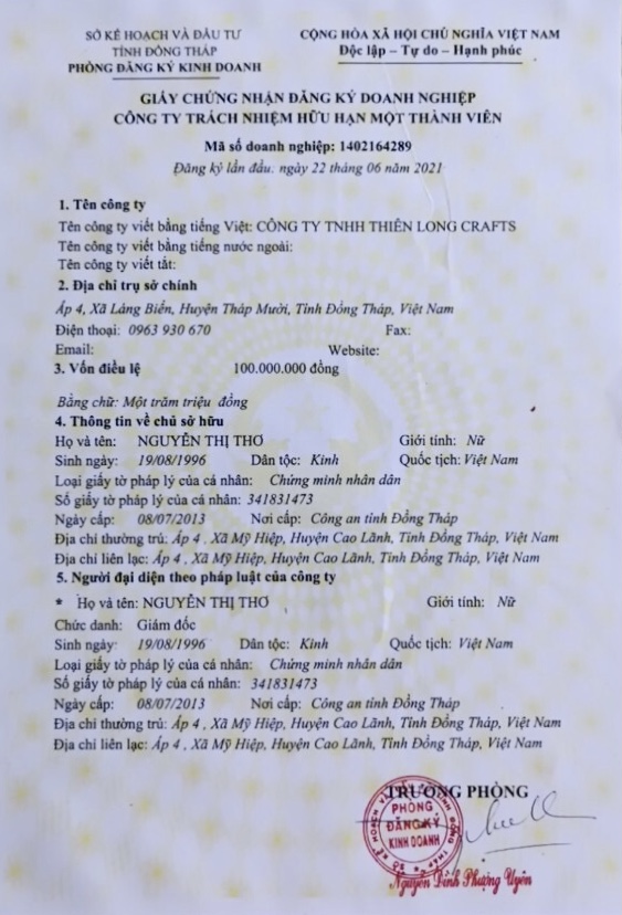 Các loại giấy phép