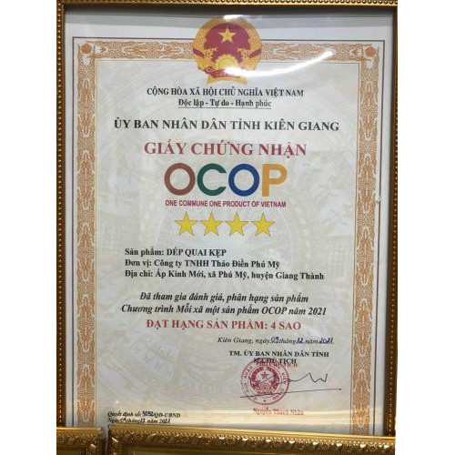 Các loại giấy phép