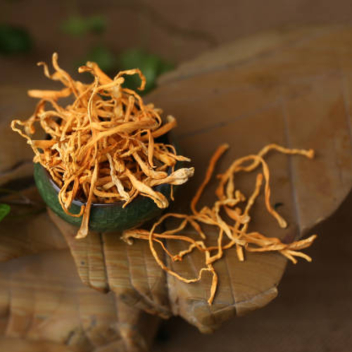 6 Lợi Ích Của Đông Trùng Hạ Thảo Dựa Trên Khoa Học