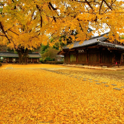 Những Điều Thú Vị Về Người Dân Hàn Quốc