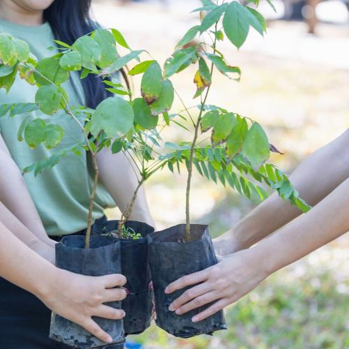 Hành Trình Hoạt Động Cộng Đồng – Ghi Dấu Những Trải Nghiệm Tuổi Trẻ