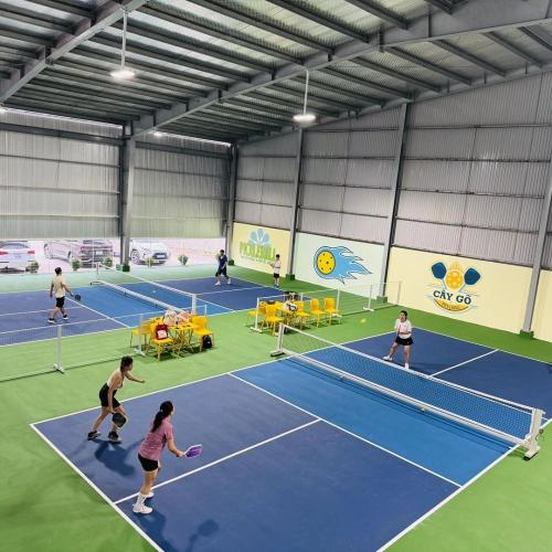 Sân Cây Gõ Pickleball