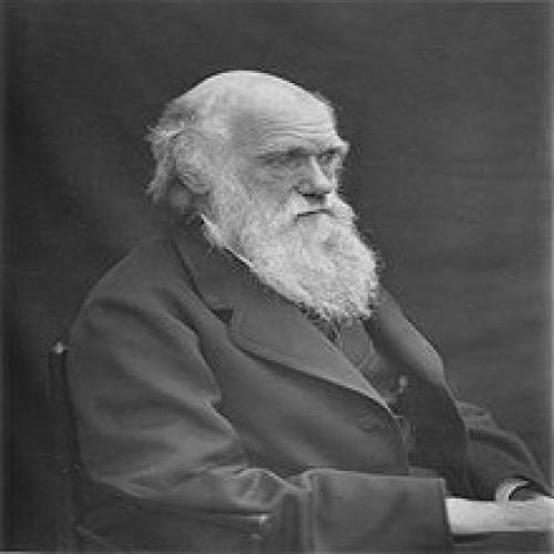 (Danh nhân) Charles Darwin - Cha đẻ của Thuyết Tiến hóa và chọn lọc tự nhiên
