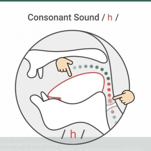 (Học tập ngoại ngữ) H [h] Consonant - How to make the H [h] Consonant