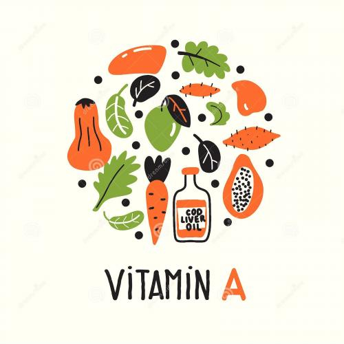 (Y học - Sức khỏe) Vai trò của vitamin A đối với sức khỏe của trẻ em