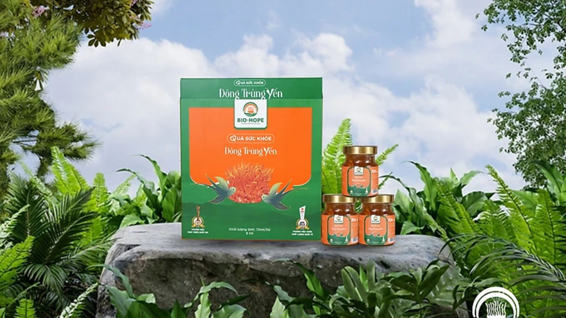 Những lưu ý khi sử dụng Đông Trùng Hạ Thảo cho hệ tiêu hóa