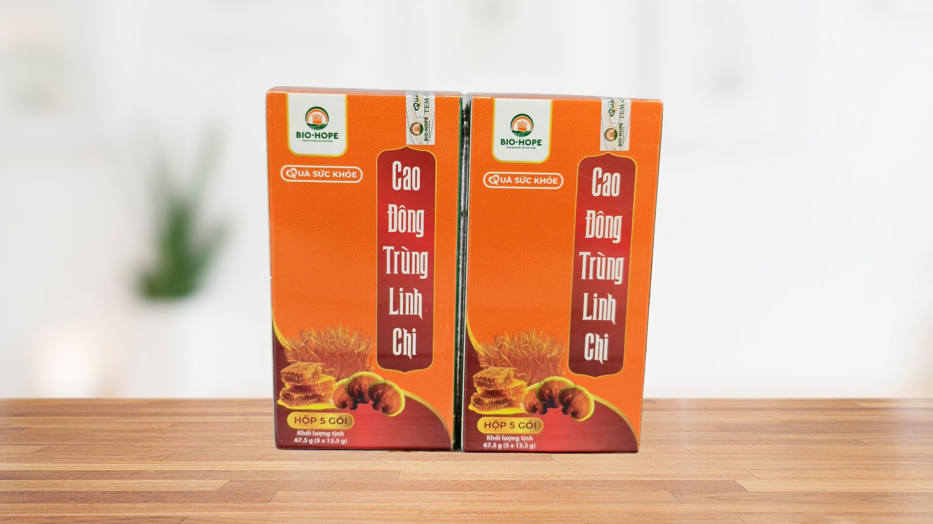 Công dụng của linh chi đối với hệ miễn dịch