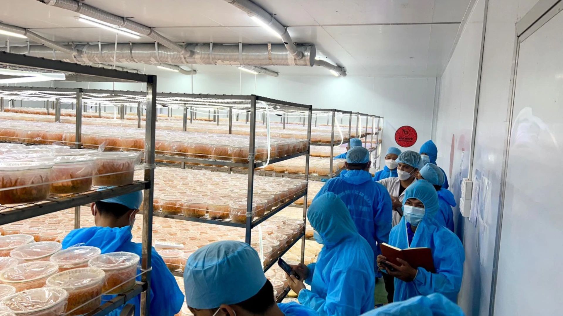 1. Kết nối tri thức – đồng hành cùng đại học