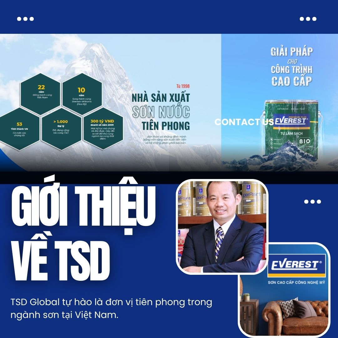 Giới thiệu về TSD