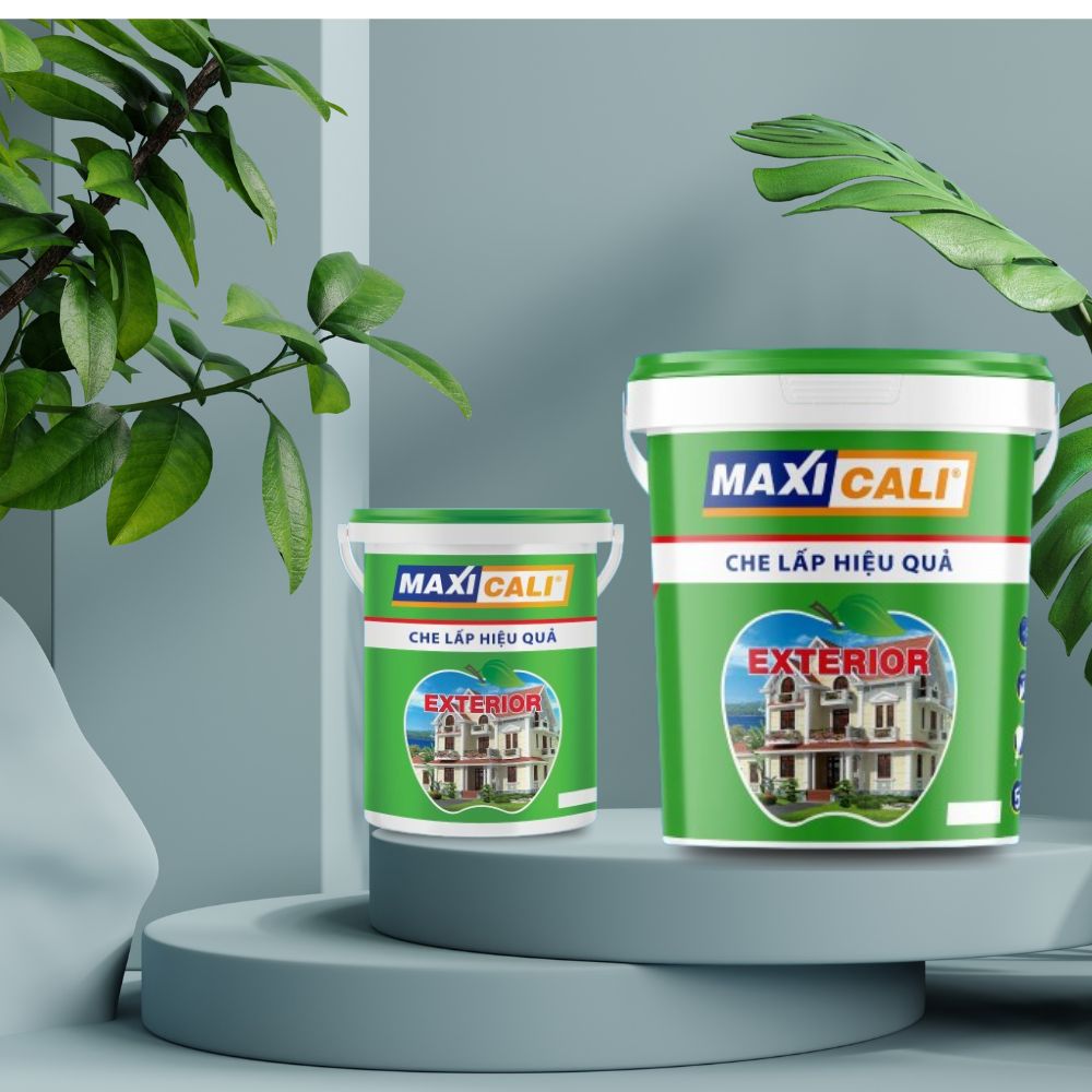 Hướng Dẫn Thi Công Sơn MAXICALI Để Đạt Hiệu Quả Cao Nhất