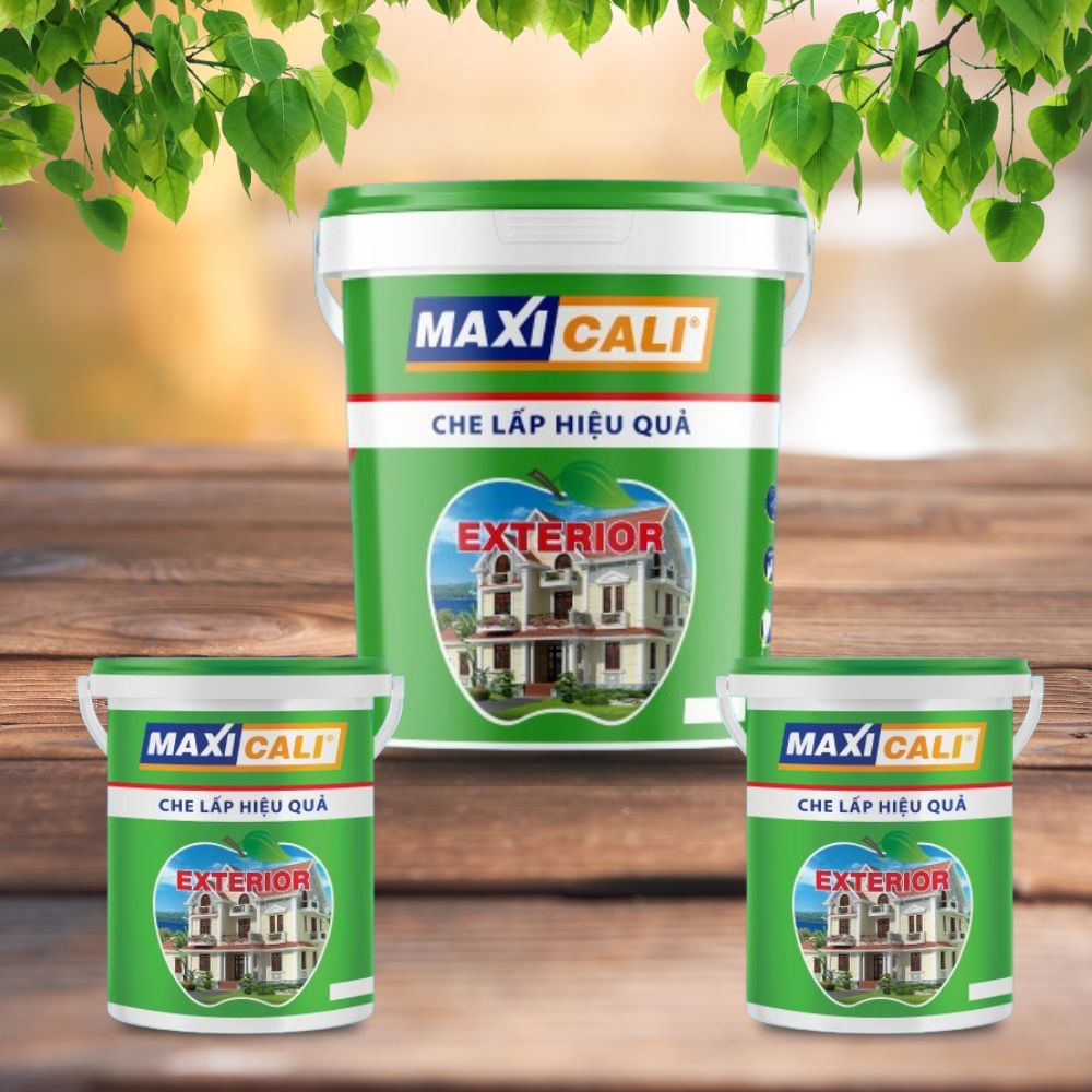 Vì Sao Sơn MAXICALI Là Lựa Chọn Hoàn Hảo Cho Ngoại Thất?