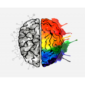 1.Giáo dục não phải - Sự khác biệt giữa tư duy bán cầu não trái và bán cầu não phải.