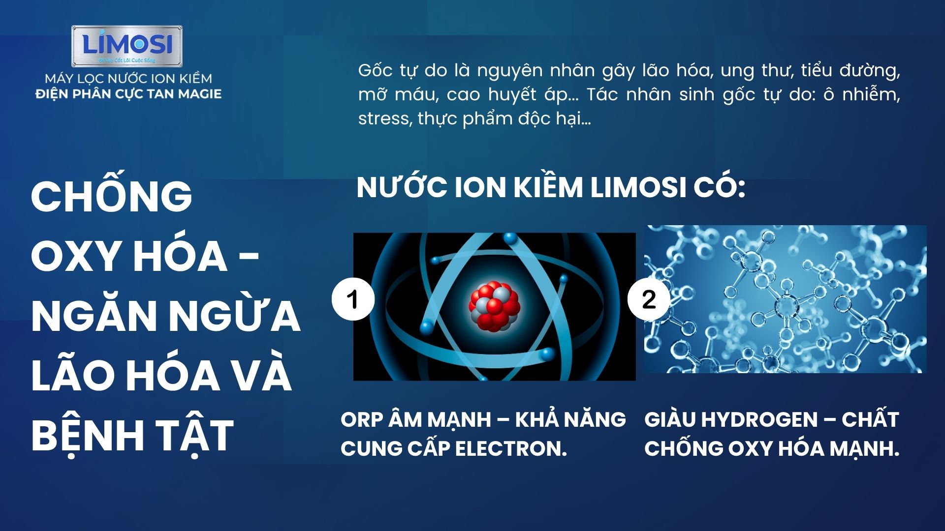 3. Chống oxy hóa – Giải pháp hỗ trợ ngăn ngừa lão hóa và bệnh tật