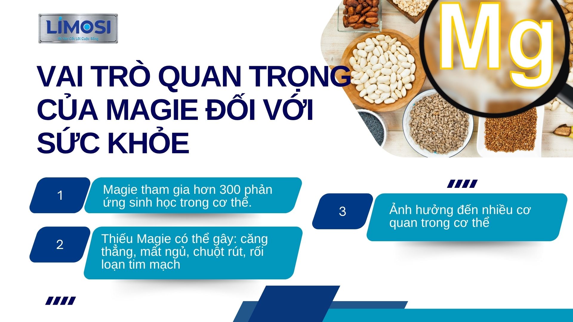 Vai trò quan trọng của Magie đối với sức khỏe