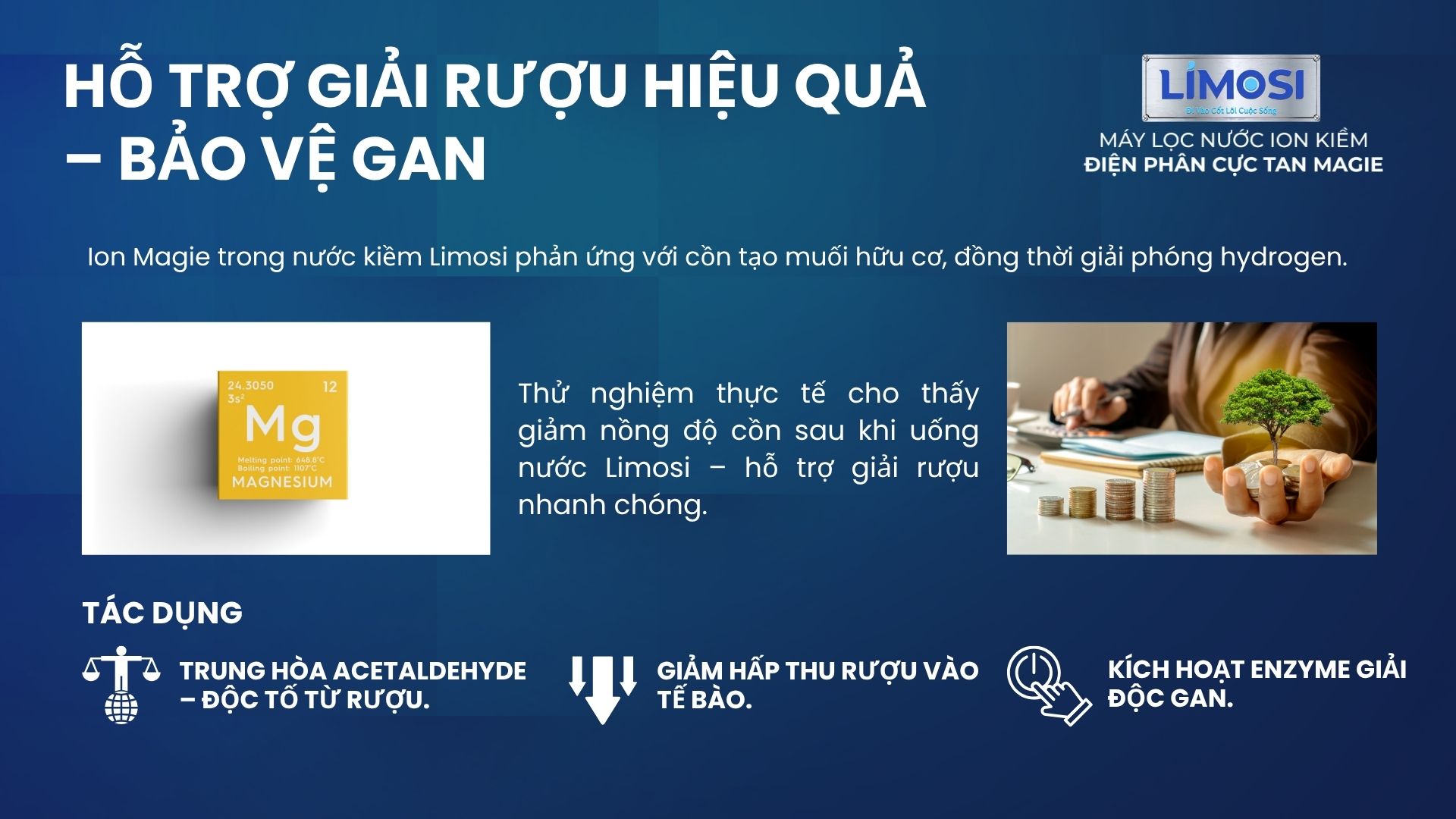 5. Trung hòa rượu hiệu quả – Giảm tác hại lên gan