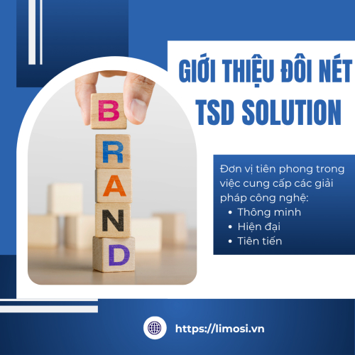 Giới Thiệu Đôi Nét Về TSD Solution
