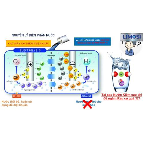 Nên Uống Nước Ion Kiềm Và Mức Độ pH Bao Nhiêu Là Phù Hợp?