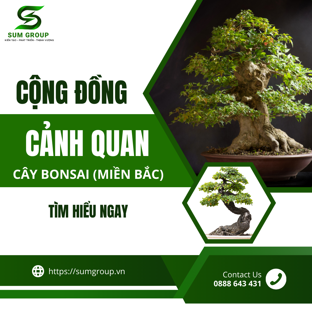 Cộng Đồng Cảnh Quan Cây Bonsai Miền Bắc