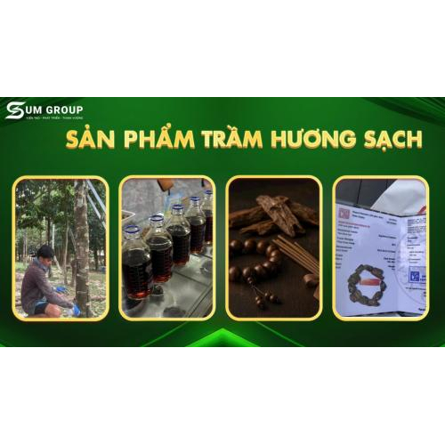 Định vị dài hạn