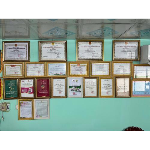 Xoài Sấy Dẻo - SUNHI