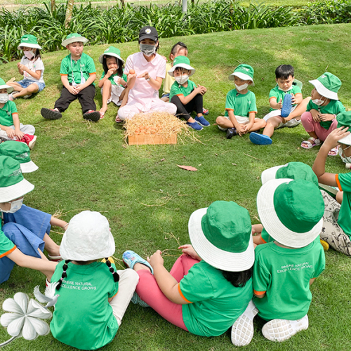Giáo dục tự nhiên cho trẻ theo quan điểm Montessori