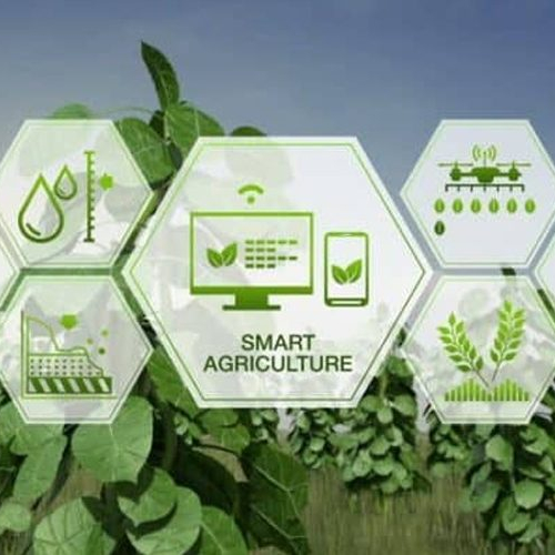 IoT phục vụ ngành Nông nghiệp