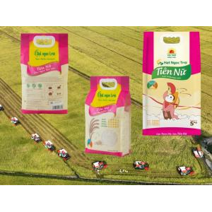 Gạo Hạt Ngọc Trời Tiên Nữ Lộc Trời 5 Kg - Gạo Ngon Tiến Vua