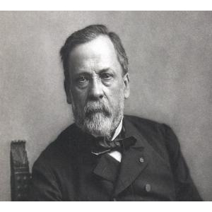 Tìm hiểu về danh nhân Louis Pasteur