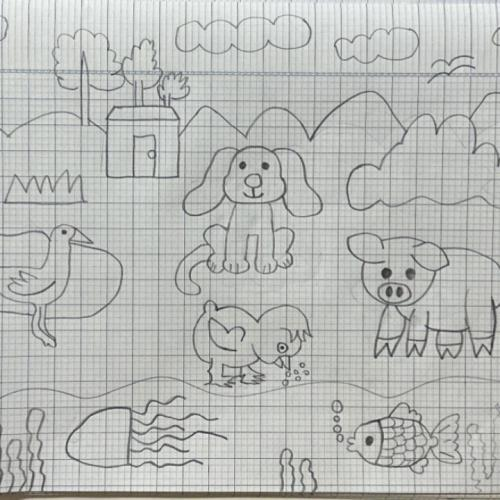 Bài 2: Con vật