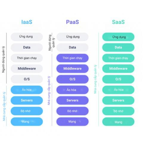 3.1.3. Software as a Service (SaaS)