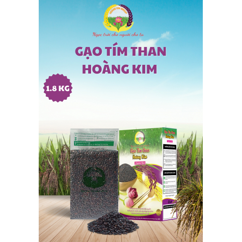 Các sản phẩm tiêu biểu